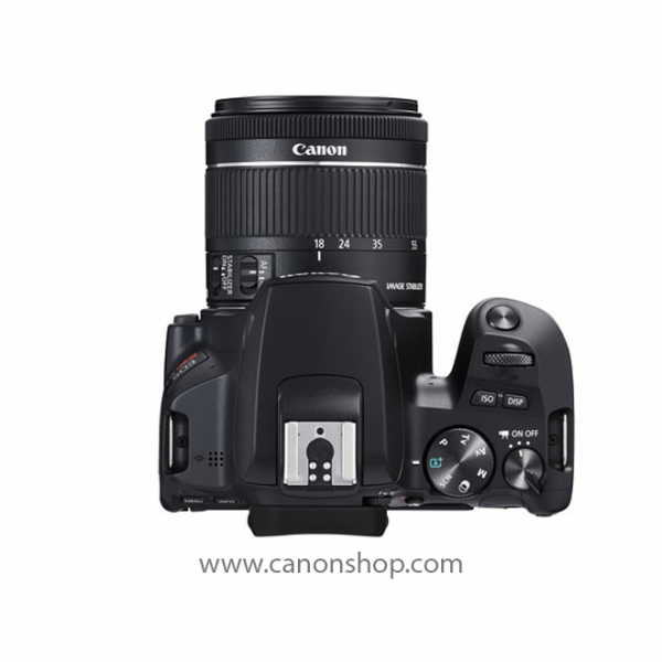 Canon-Shop-EOS-Rebel-SL3-EF-S-18-55mm-f-4-5.6-IS-STM-Lens-Kit-Black-DL-08